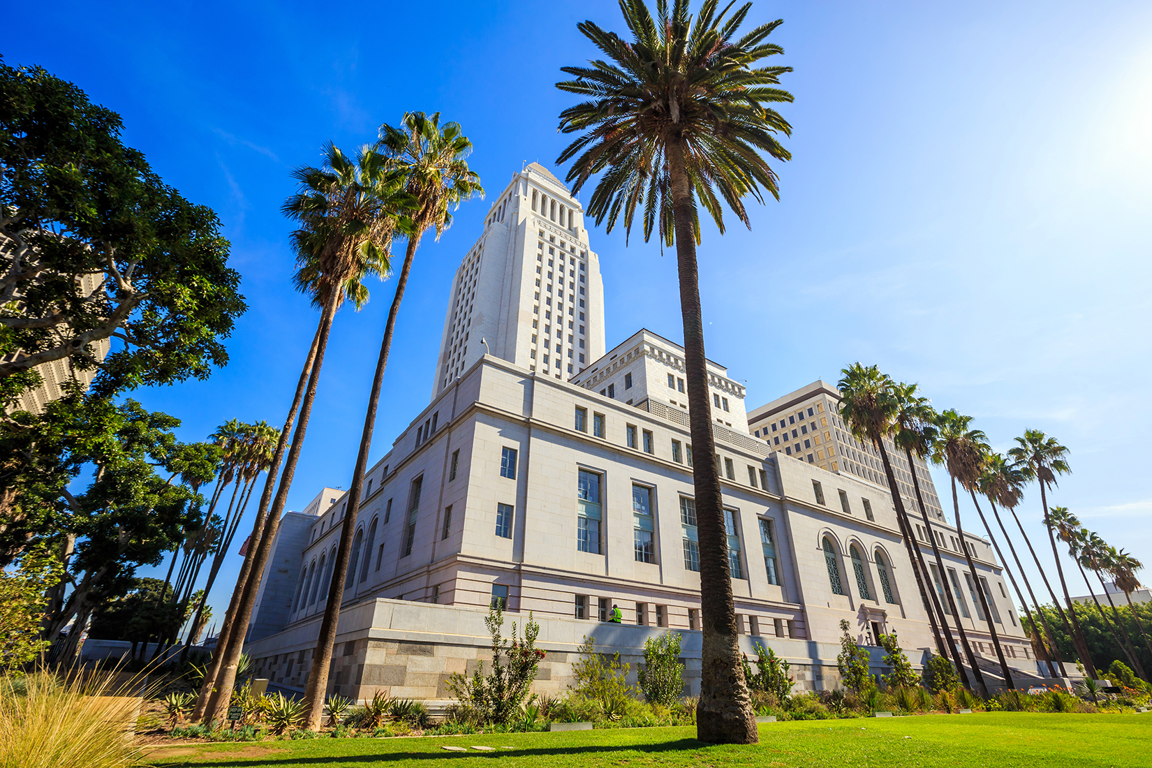 a large building with palm trees in front of it.